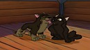 Puppy lick