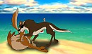 Playing on the beach