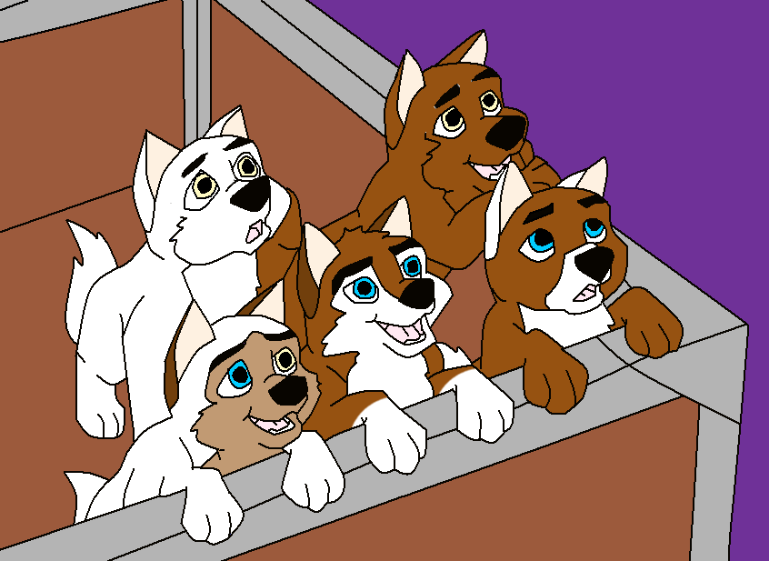 Blizard and Diana's pups
