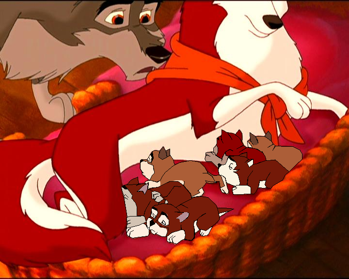 Balto first time saw his second litter