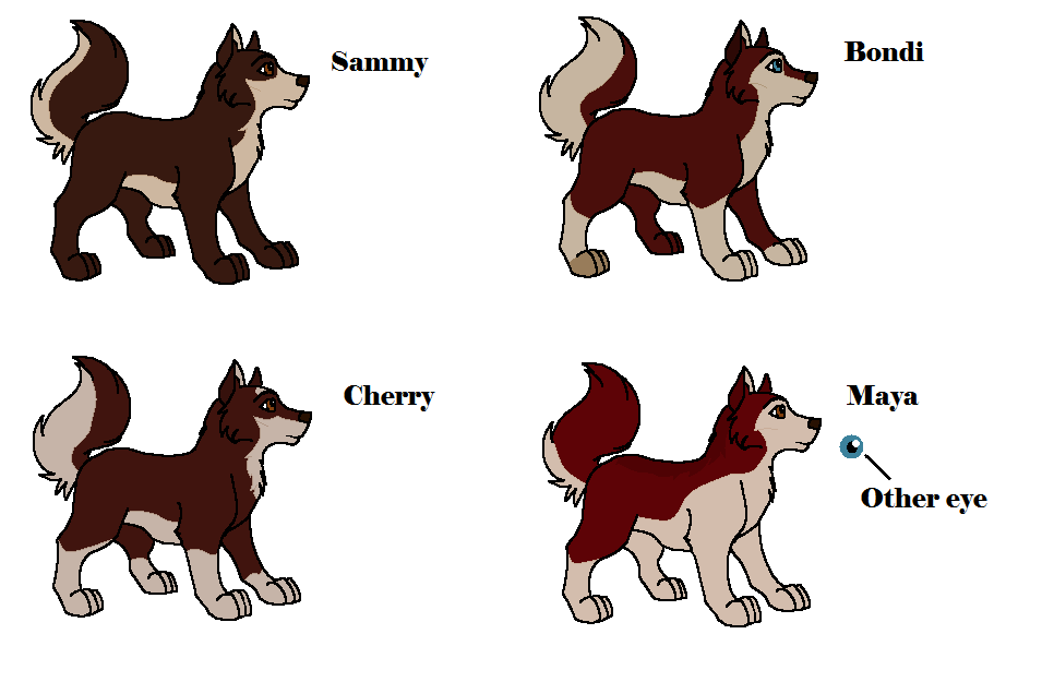 Antauri x Emma pups