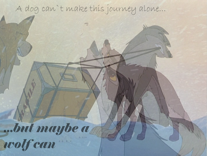 ...but maybe a wolf can