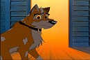 Balto (Balto Last Days of a Hero)