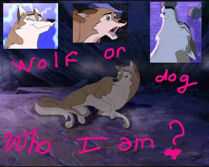 aleu ne sait pas