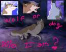 aleu ne sait pas