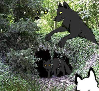 Les loups et leur grotte
