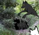 Les loups et leur grotte