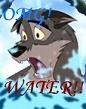 OMG WATER! D: *re-sized*