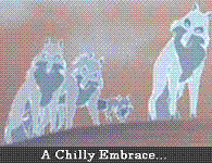 A Chilly Embrace