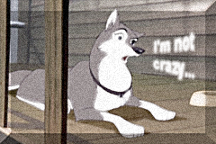 The pressure of being the only female sled dog...