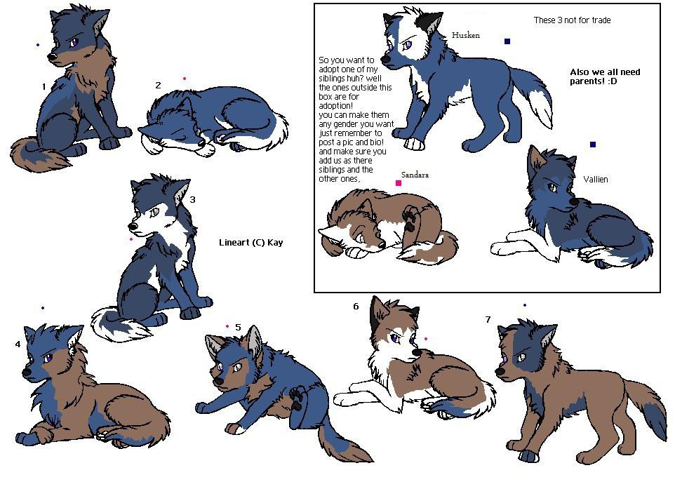Puppy Adoptables