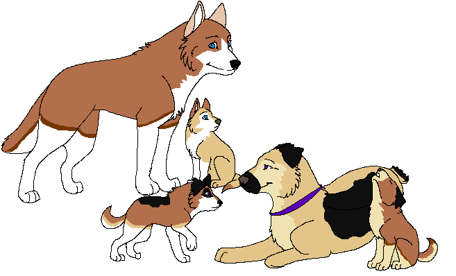 Here they are 3 of 6! 
