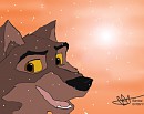 Balto au coucher du soleil