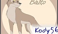 Kody56