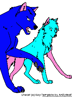 pack