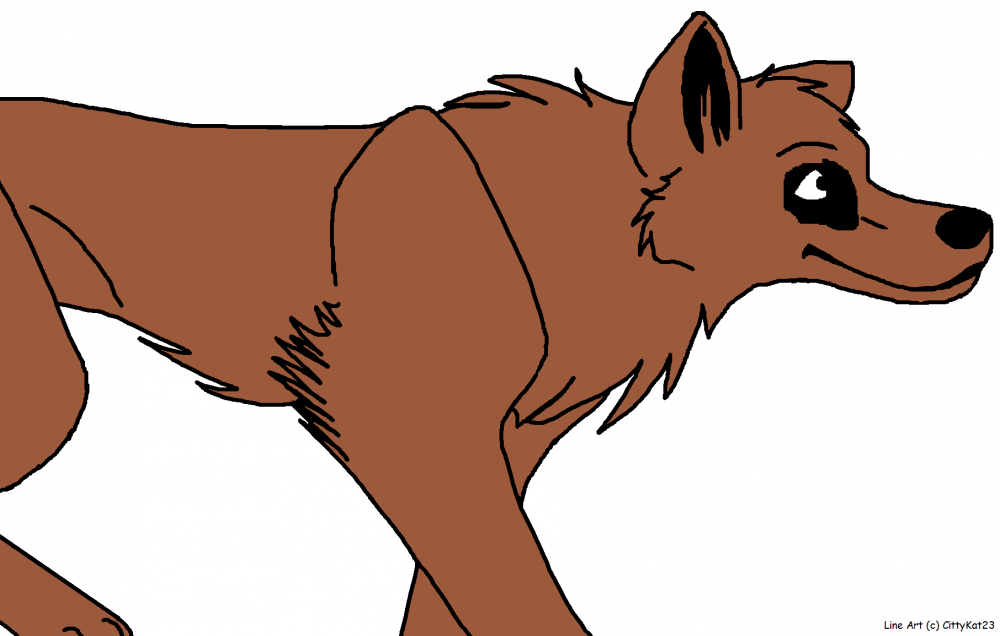 My new character