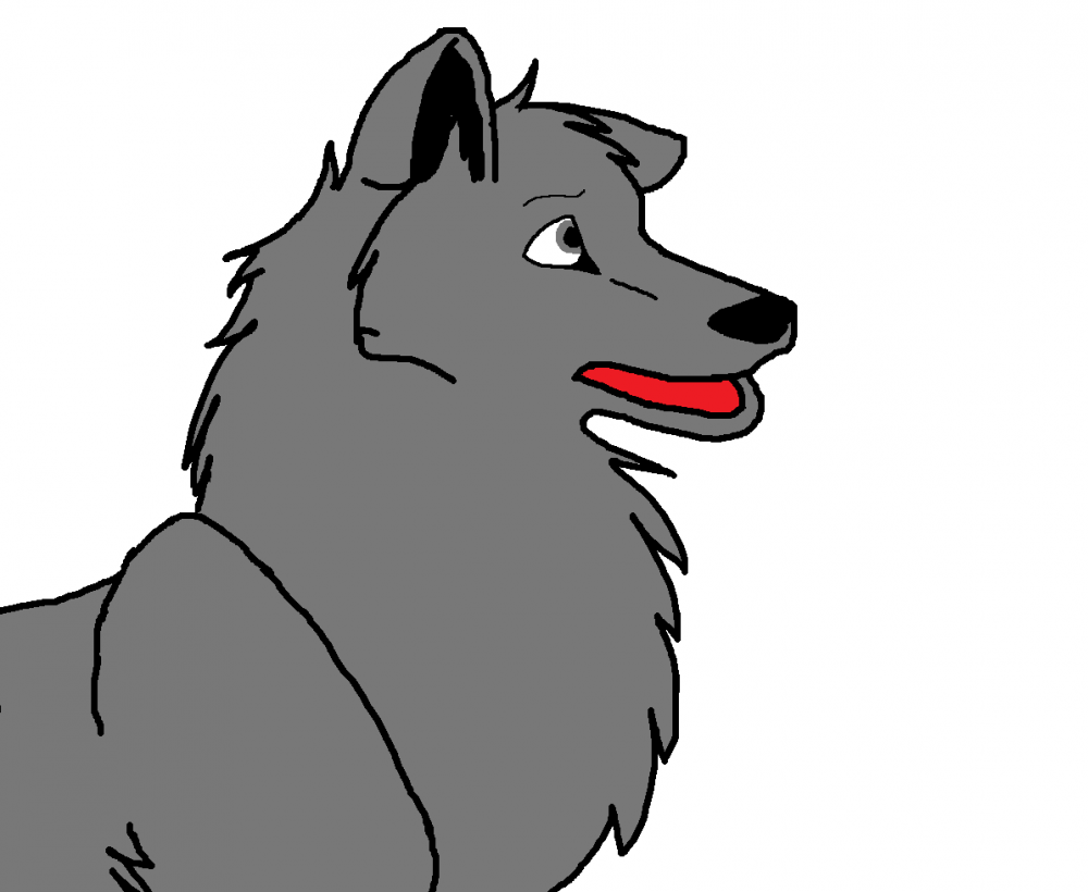 Just Balto