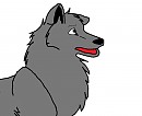 Just Balto