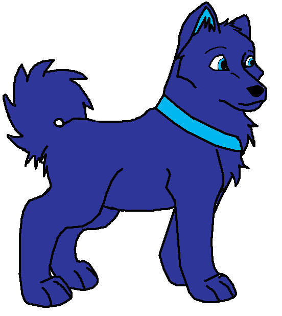 Puppy Night Bulb wore a coller!?