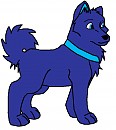 Puppy Night Bulb wore a coller!?