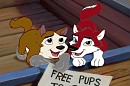 Two pups for adoption