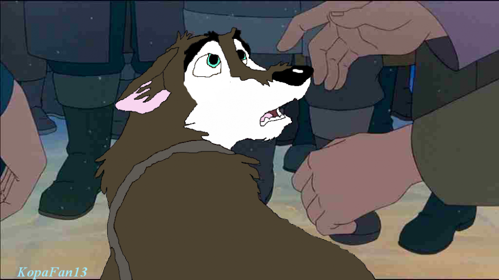 Rokk the Wolfdog