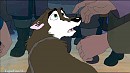 Rokk the Wolfdog