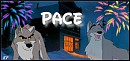 Pace Sig