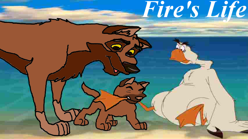 Fire's Life Cover