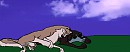 sleep on you