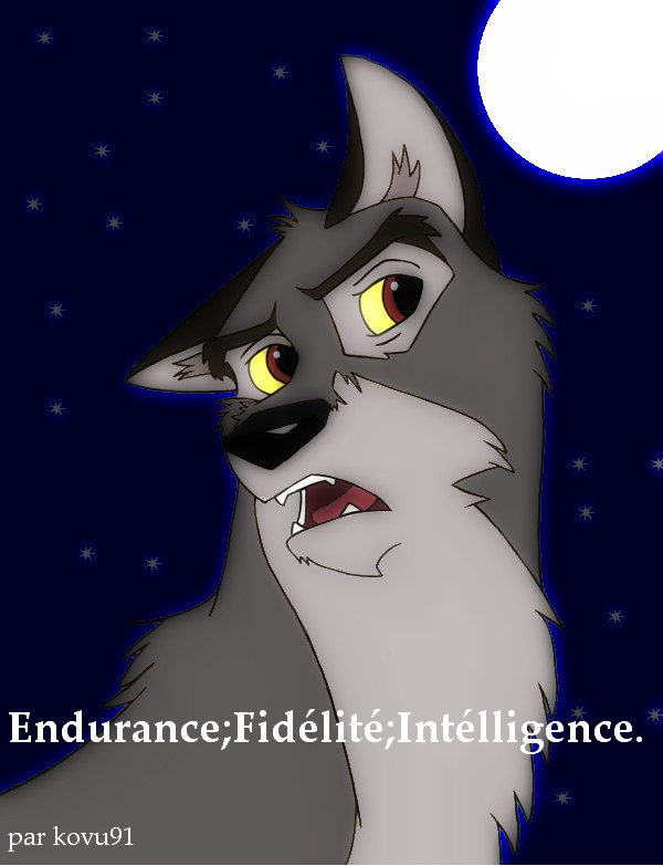 Balto