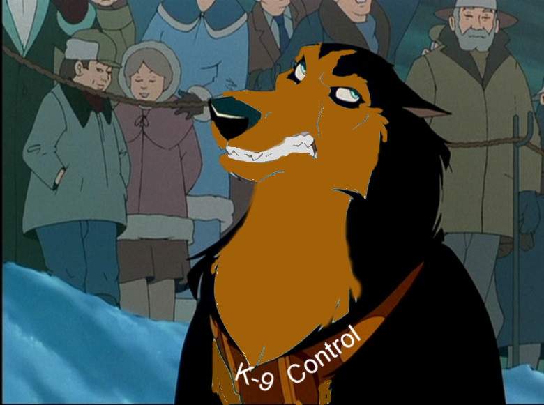 There is the big dog! Chief!