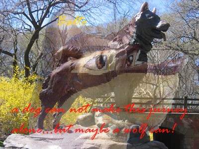 balto cover