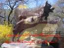balto cover