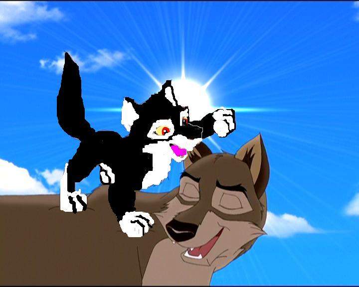 angels puppy days