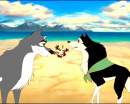 duke & star