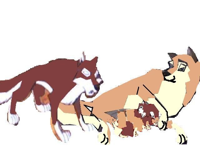 puppies