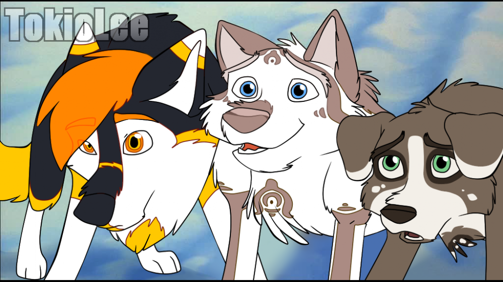 The Gang