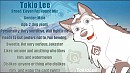 Tokio Lee