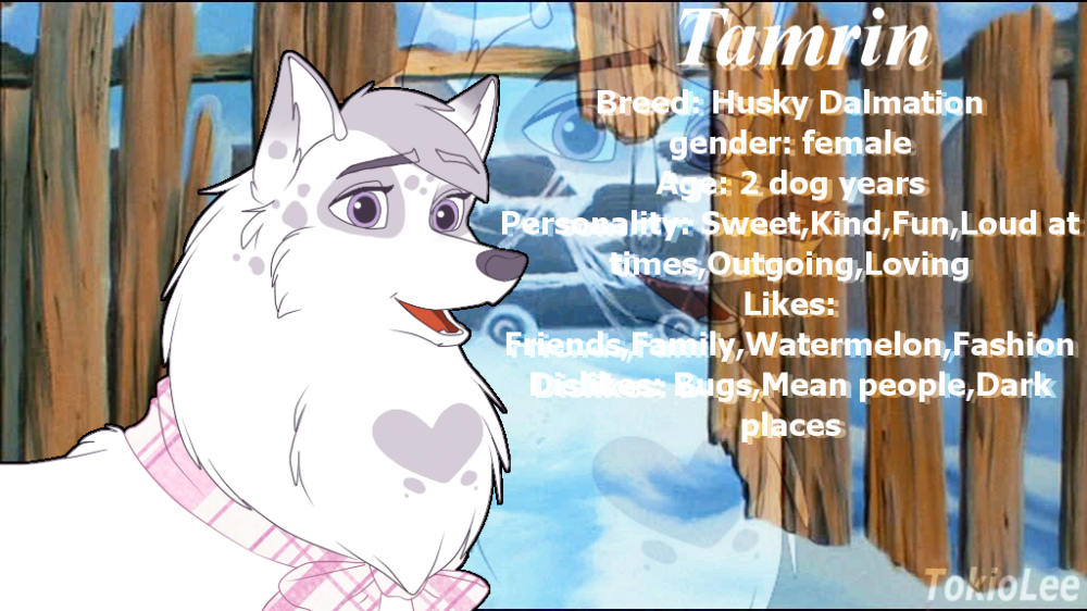Tamrin Lin