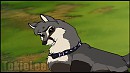 Benny -Request-