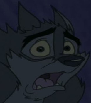 Balto derp