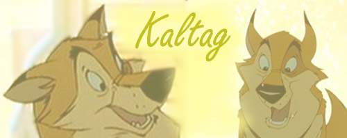 Kaltag Banner