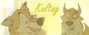 Kaltag Banner