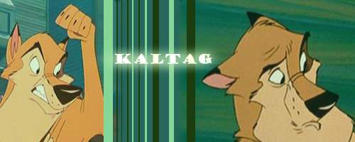 Kaltag 2