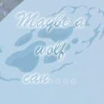 Maybe a wolf can...
