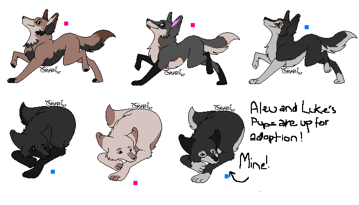 Aleu and Luke have been blessed with pups!