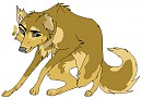 Trade with Animha: Akita Inu x German Shepherd