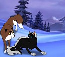 Gift for Bluerose1998