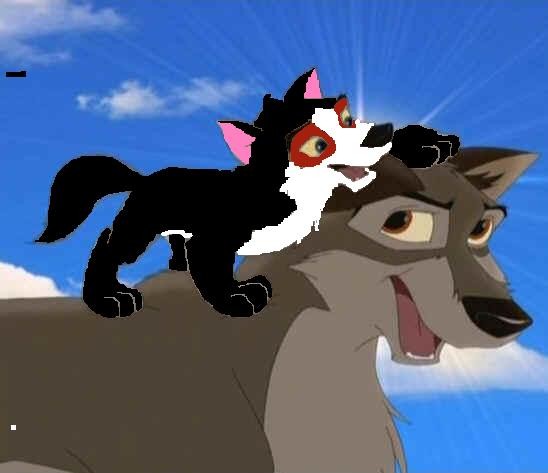 Rinow playing with Balto
